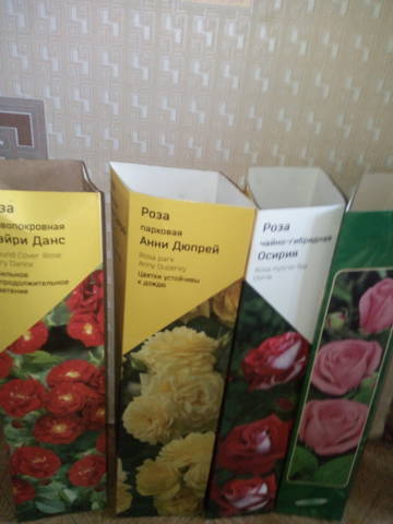 https://upforme.ru/uploads/001a/00/cb/35/t119064.jpg