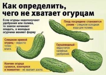 https://upforme.ru/uploads/001a/00/cb/35/t701246.jpg