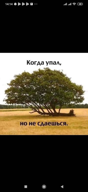 https://upforme.ru/uploads/001a/00/cb/37/t496190.jpg