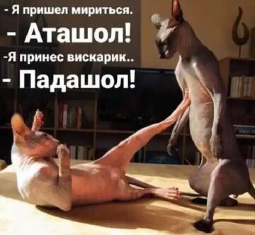 https://upforme.ru/uploads/001a/00/cb/420/t11868.jpg