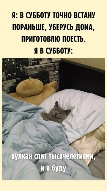 https://upforme.ru/uploads/001a/00/cb/420/t44063.jpg