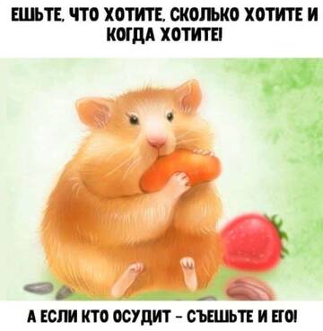 https://upforme.ru/uploads/001a/00/cb/420/t84626.jpg