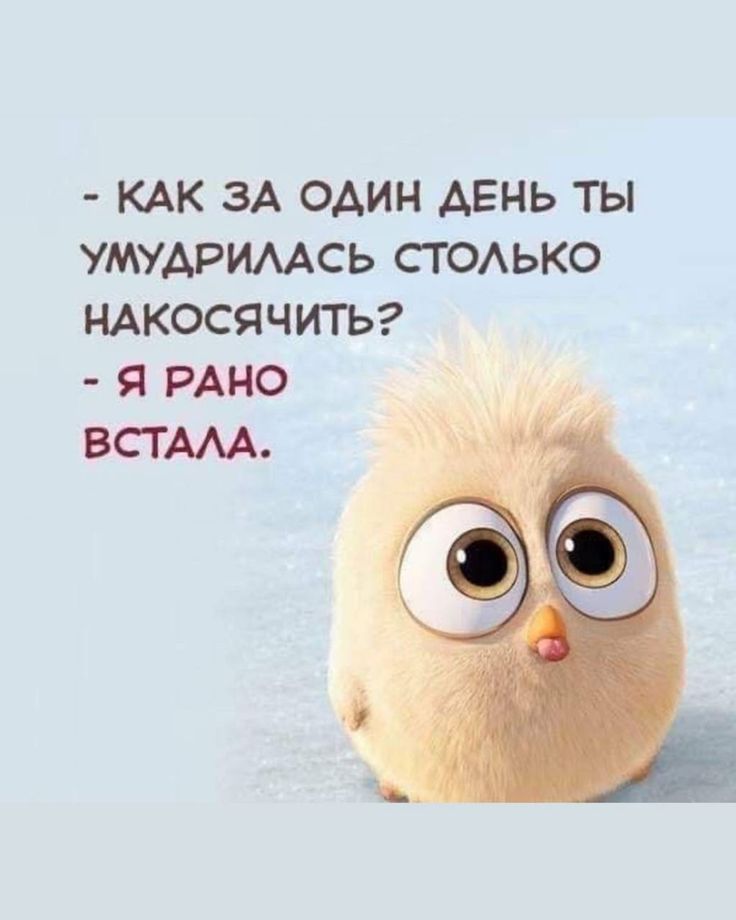 https://upforme.ru/uploads/001a/00/cb/43/108421.jpg