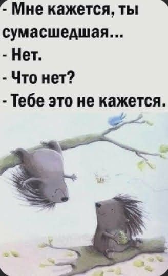 https://upforme.ru/uploads/001a/00/cb/43/12119.jpg