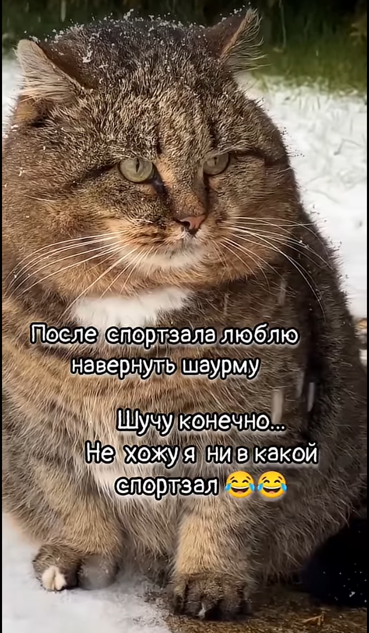 https://upforme.ru/uploads/001a/00/cb/43/26245.jpg