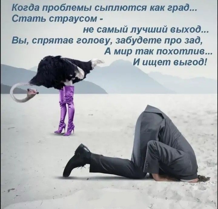 https://upforme.ru/uploads/001a/00/cb/43/277753.jpg