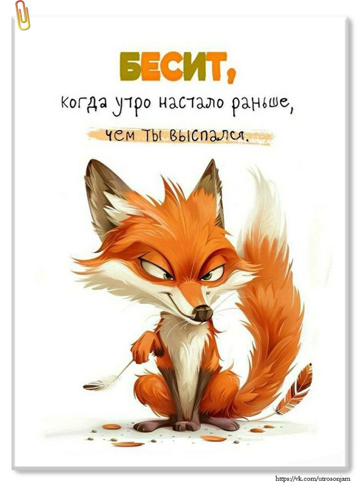 https://upforme.ru/uploads/001a/00/cb/43/294955.jpg