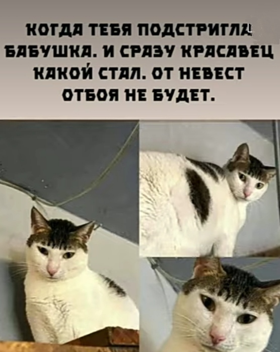 https://upforme.ru/uploads/001a/00/cb/43/317468.jpg