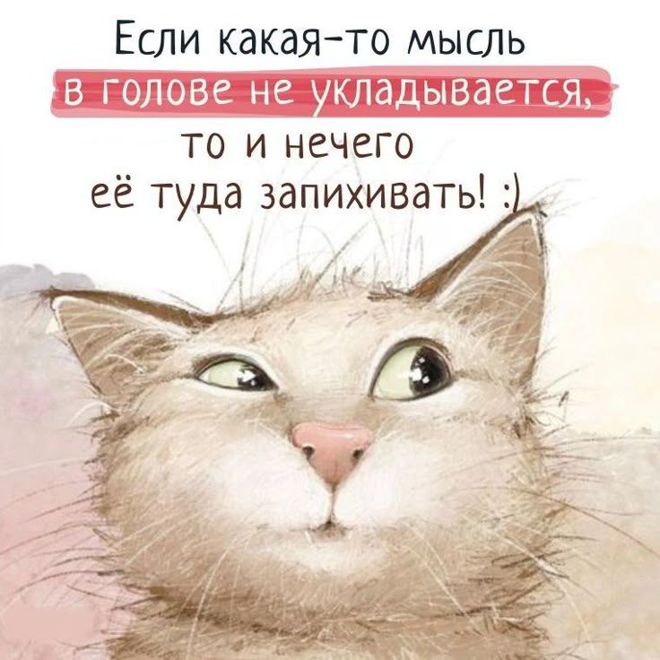 https://upforme.ru/uploads/001a/00/cb/43/441184.jpg