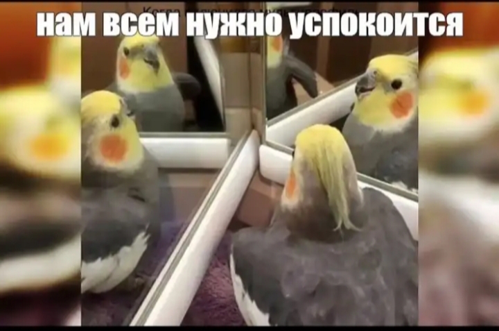 https://upforme.ru/uploads/001a/00/cb/43/462037.jpg