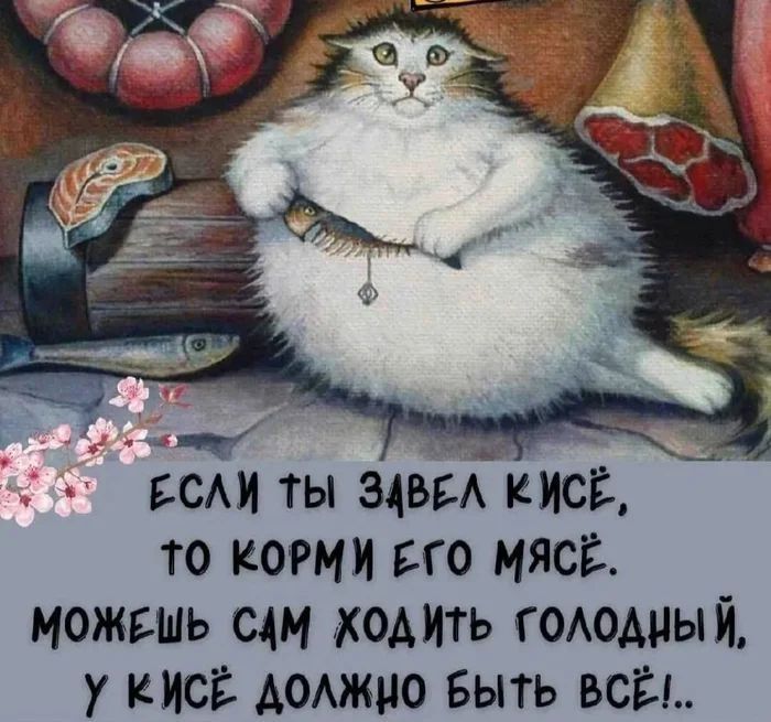 https://upforme.ru/uploads/001a/00/cb/43/477646.jpg