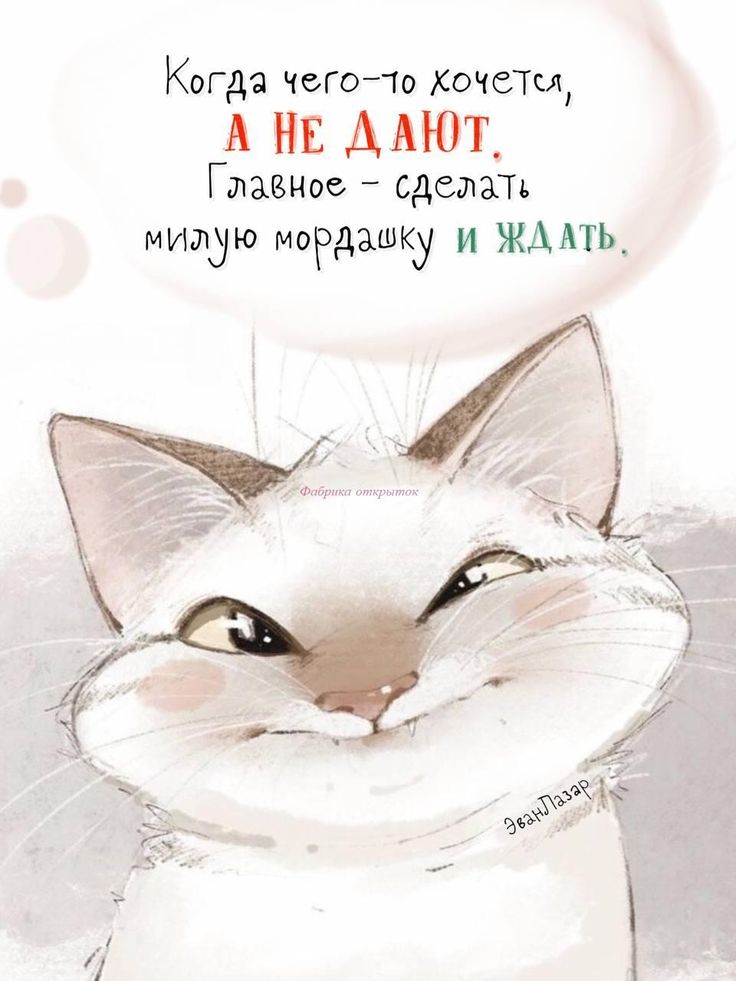 https://upforme.ru/uploads/001a/00/cb/43/535884.jpg