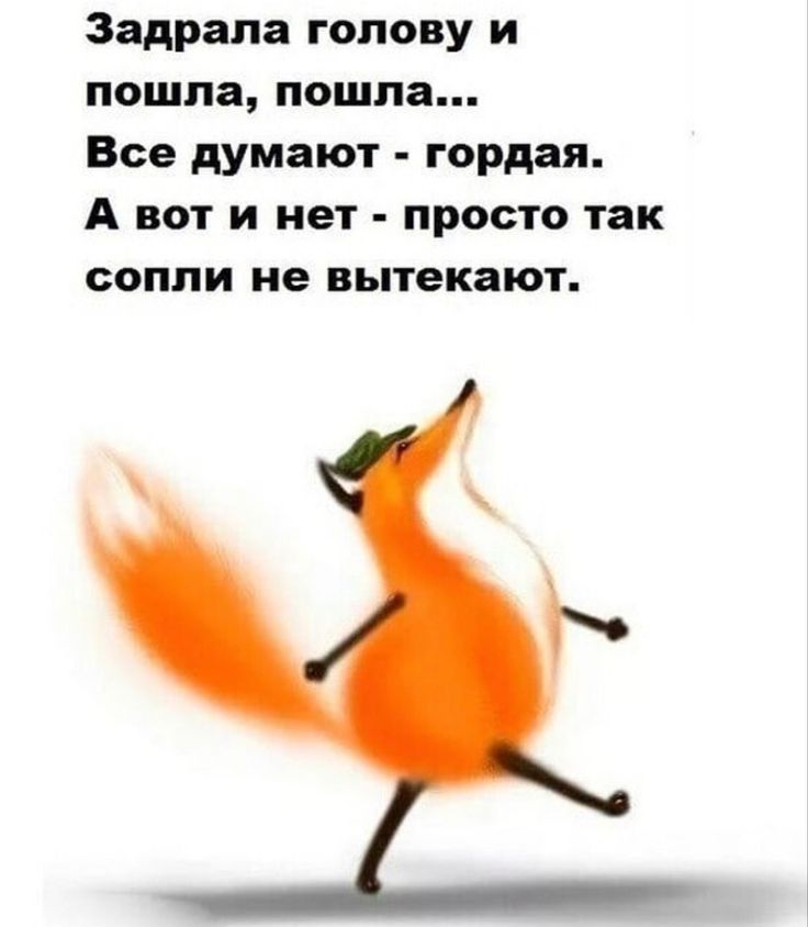 https://upforme.ru/uploads/001a/00/cb/43/57081.jpg