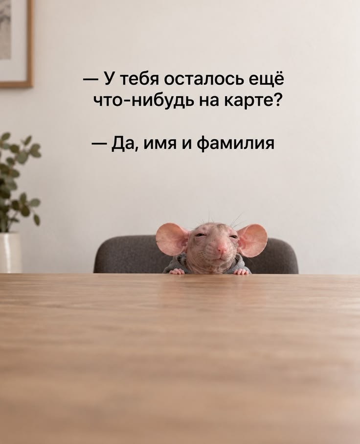 https://upforme.ru/uploads/001a/00/cb/43/583035.jpg