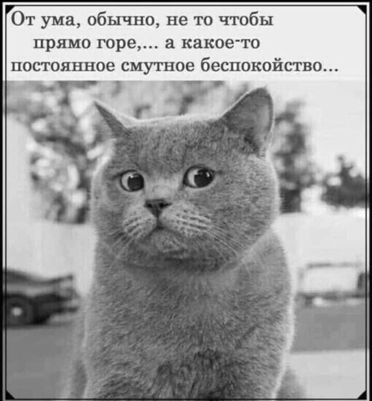 https://upforme.ru/uploads/001a/00/cb/43/611208.jpg