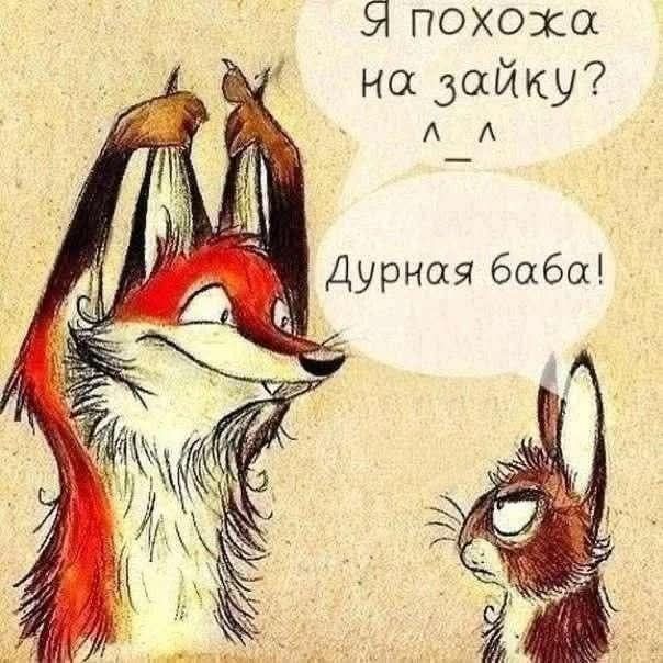 https://upforme.ru/uploads/001a/00/cb/43/667379.jpg
