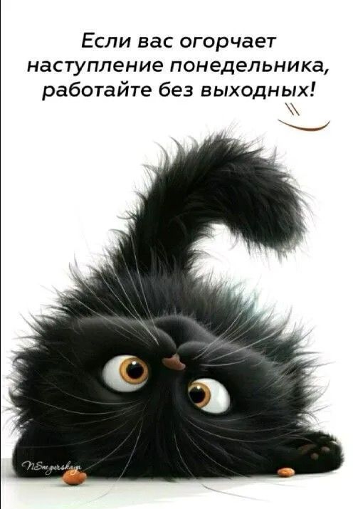 https://upforme.ru/uploads/001a/00/cb/43/703783.jpg