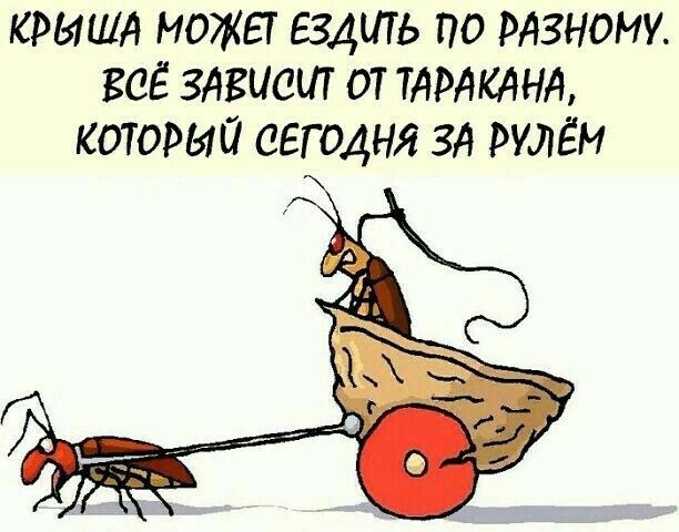 https://upforme.ru/uploads/001a/00/cb/43/730838.jpg