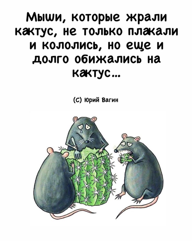 https://upforme.ru/uploads/001a/00/cb/43/739583.jpg