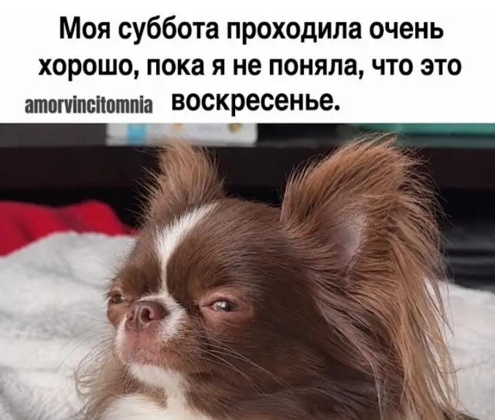 https://upforme.ru/uploads/001a/00/cb/43/784195.jpg