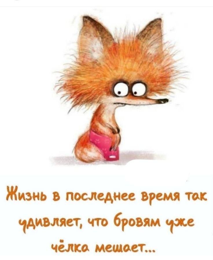 https://upforme.ru/uploads/001a/00/cb/43/790257.jpg