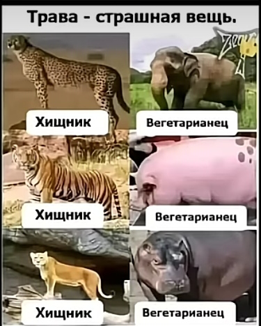https://upforme.ru/uploads/001a/00/cb/43/857697.jpg