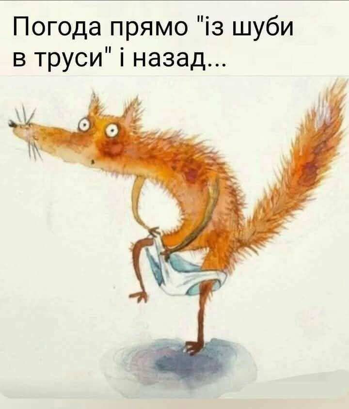 https://upforme.ru/uploads/001a/00/cb/43/917778.jpg
