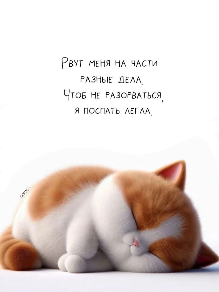 https://upforme.ru/uploads/001a/00/cb/43/92074.jpg