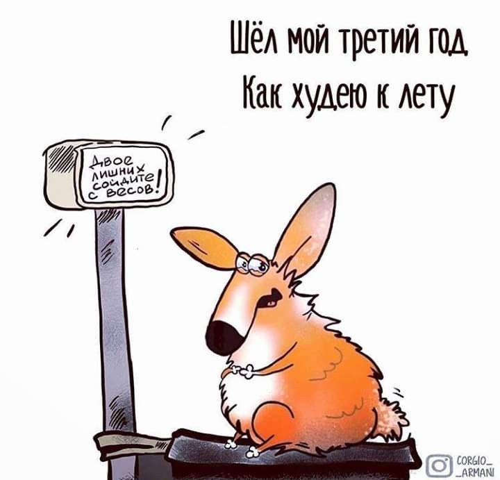 https://upforme.ru/uploads/001a/00/cb/43/957591.jpg