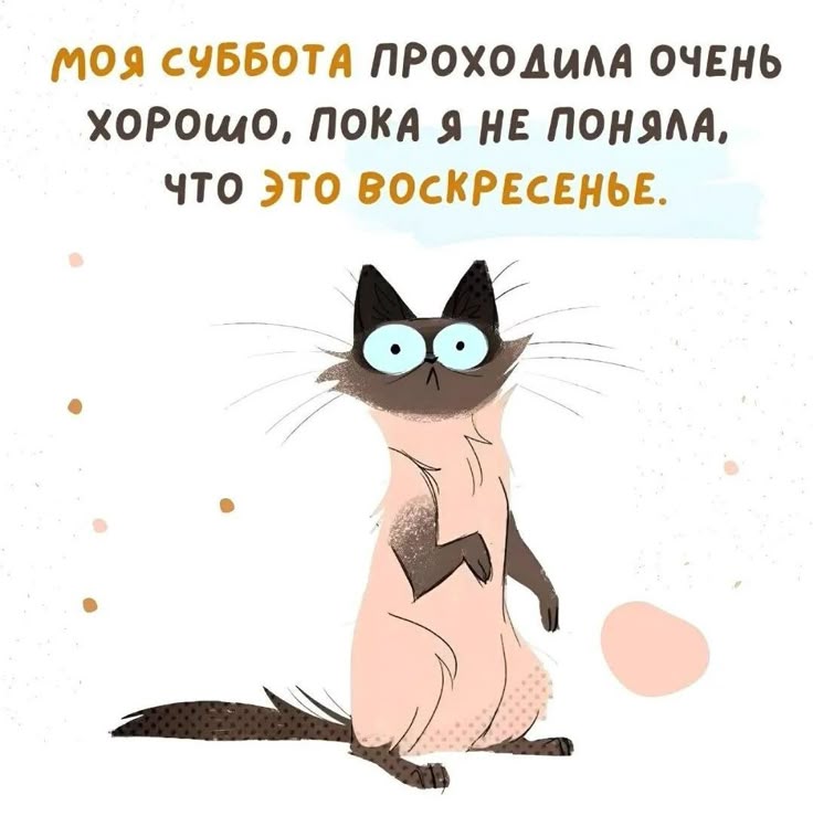 https://upforme.ru/uploads/001a/00/cb/43/961226.jpg