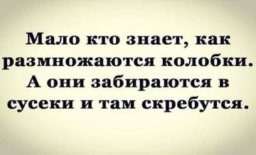 https://upforme.ru/uploads/001a/00/cb/43/t189118.jpg