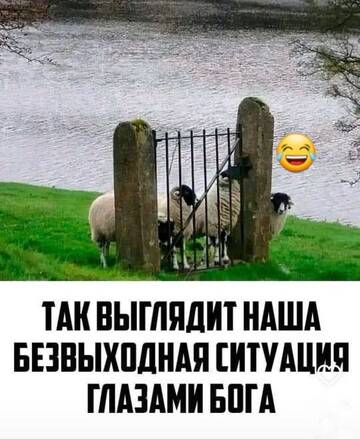 https://upforme.ru/uploads/001a/00/cb/43/t378468.jpg