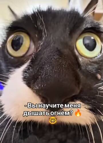 https://upforme.ru/uploads/001a/00/cb/43/t535321.jpg