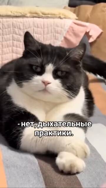 https://upforme.ru/uploads/001a/00/cb/43/t571359.jpg