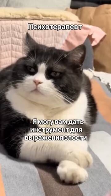 https://upforme.ru/uploads/001a/00/cb/43/t586701.jpg
