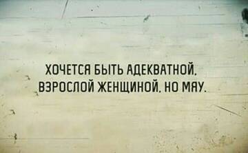 https://upforme.ru/uploads/001a/00/cb/43/t918396.jpg