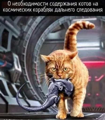 https://upforme.ru/uploads/001a/00/cb/451/t911936.jpg