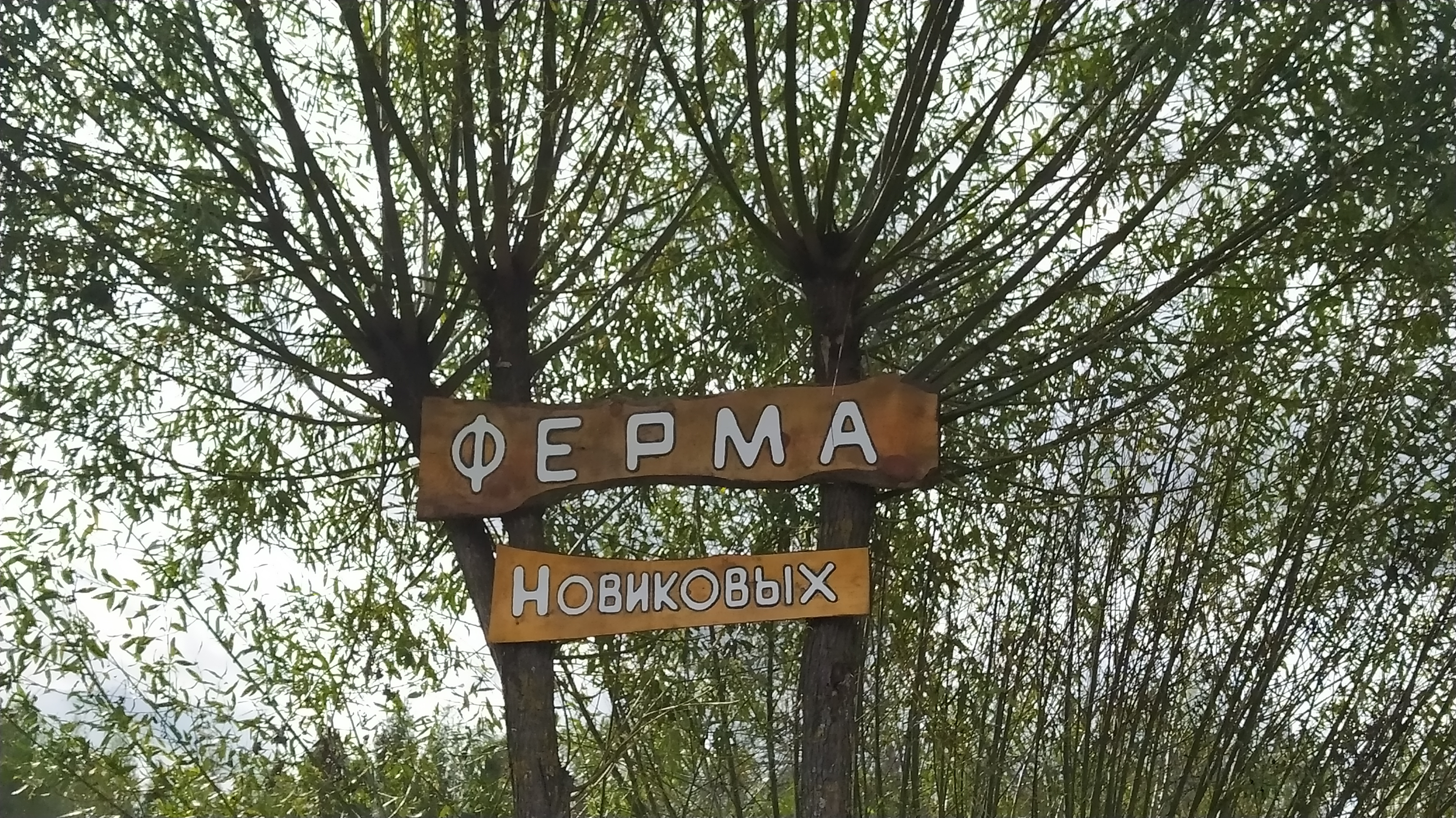 https://upforme.ru/uploads/001a/00/cb/454/180076.jpg