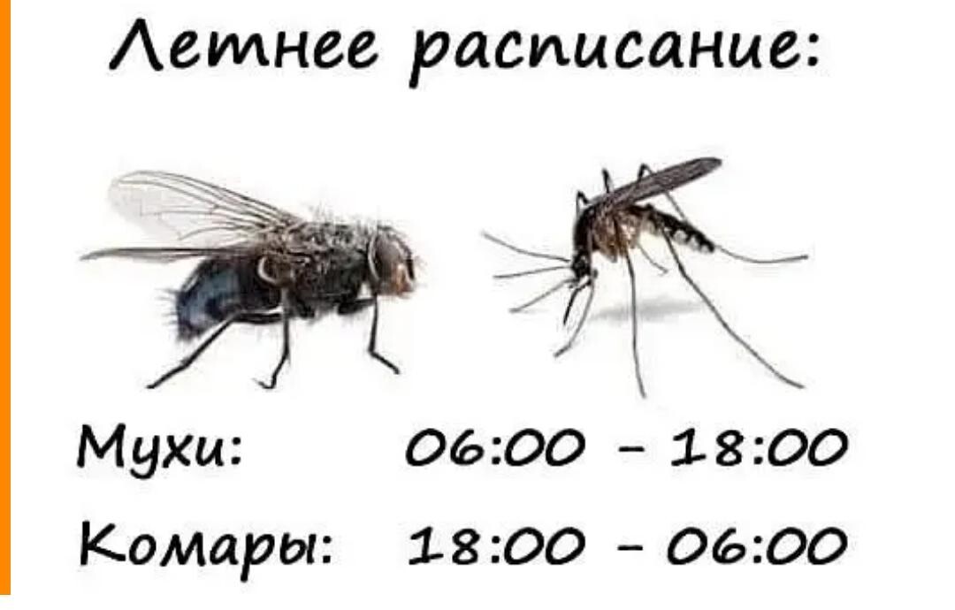 https://upforme.ru/uploads/001a/00/cb/454/208695.jpg