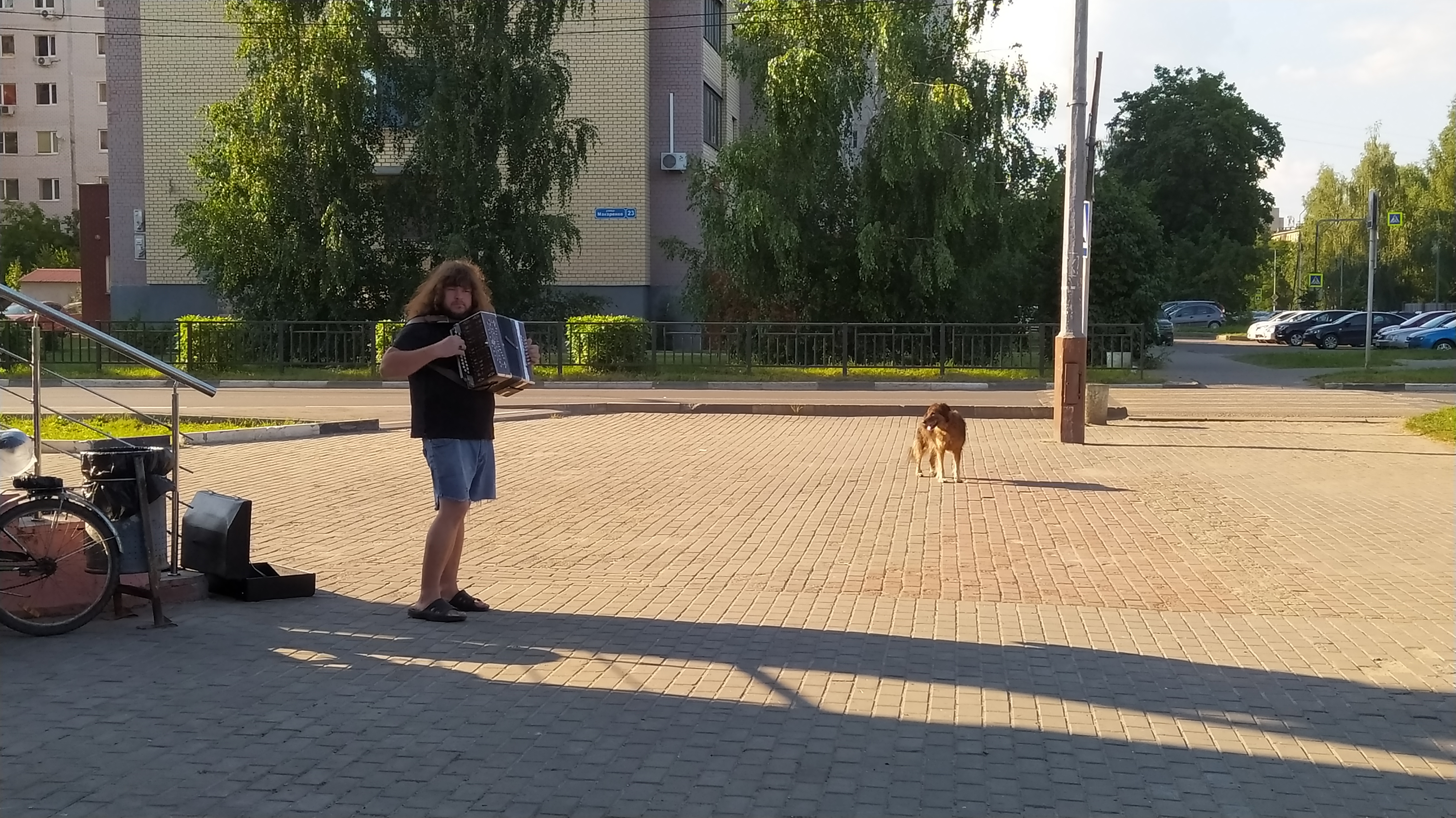 https://upforme.ru/uploads/001a/00/cb/454/452192.jpg
