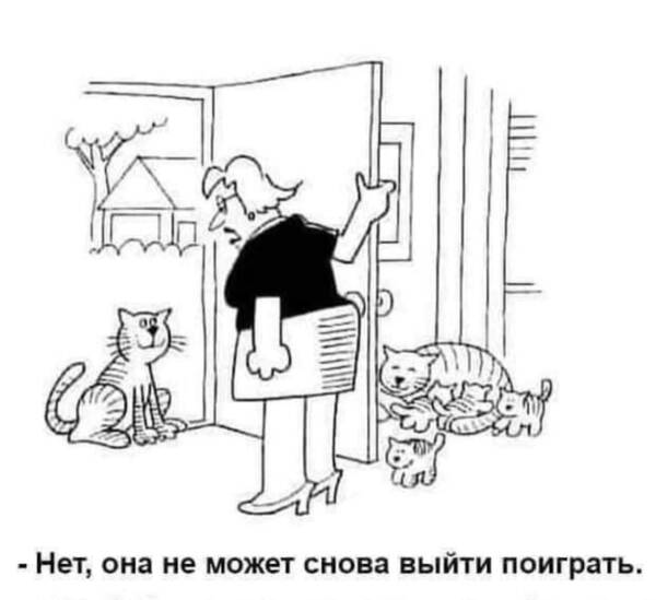 https://upforme.ru/uploads/001a/00/cb/454/t140477.jpg