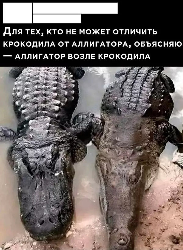 https://upforme.ru/uploads/001a/00/cb/454/t192588.webp