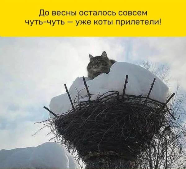 https://upforme.ru/uploads/001a/00/cb/454/t197560.jpg