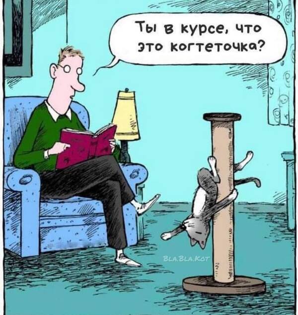 https://upforme.ru/uploads/001a/00/cb/454/t202337.jpg