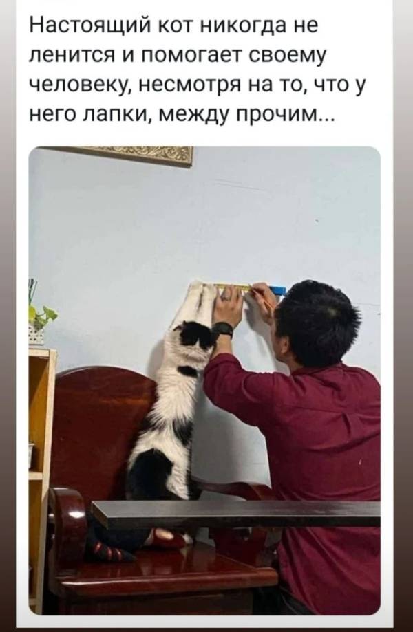 https://upforme.ru/uploads/001a/00/cb/454/t262004.jpg
