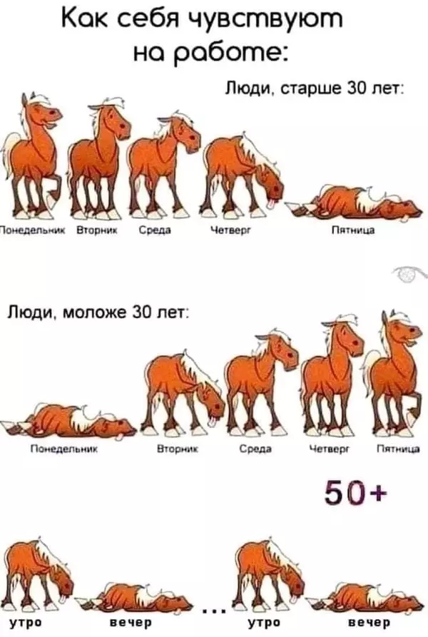 https://upforme.ru/uploads/001a/00/cb/454/t362224.webp