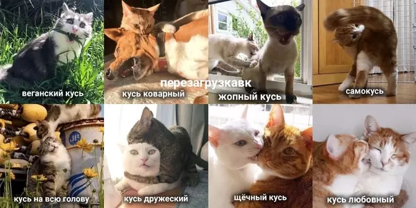 https://upforme.ru/uploads/001a/00/cb/454/t379532.webp