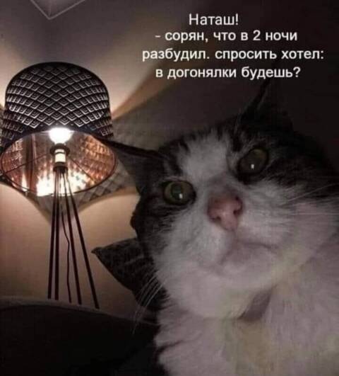 https://upforme.ru/uploads/001a/00/cb/454/t472194.jpg