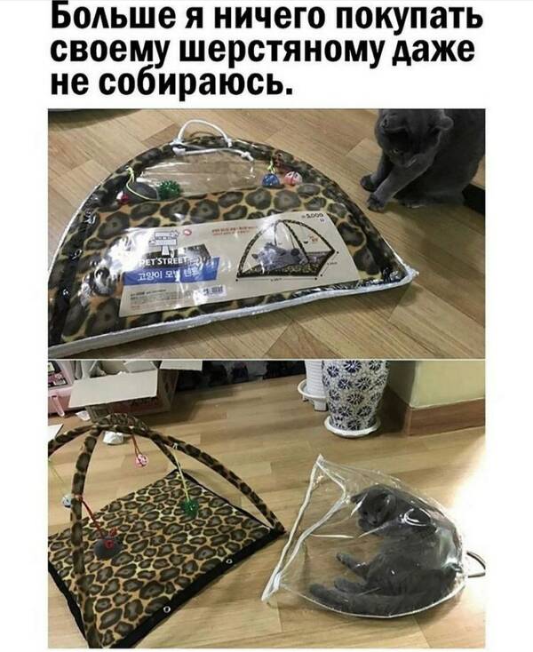 https://upforme.ru/uploads/001a/00/cb/454/t52292.jpg