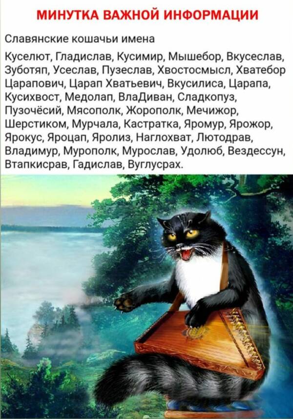 https://upforme.ru/uploads/001a/00/cb/454/t551961.jpg